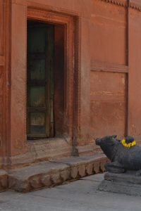 Nandi Maharaj sitting in front of door of Shiva Temple