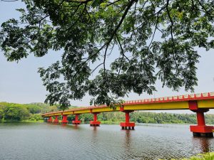 Side view of Elamaram Kadavu Bridge. Located in Kozhikode, Kerala, India.