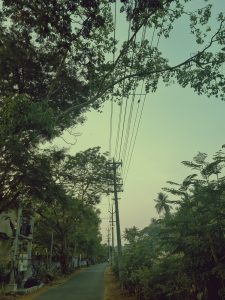 A road along houses and trees with electric lines overhead