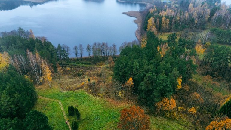 Lithuania, autumn, drone picture. There is a lake and forest in the photo