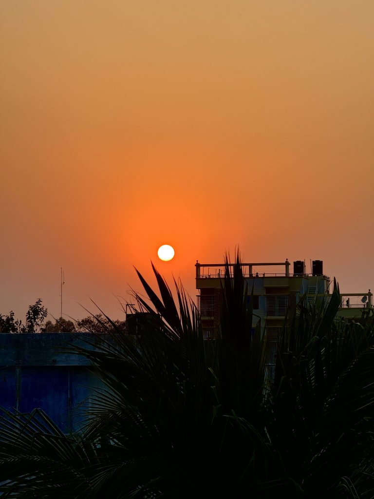 Sunset sky with vibrant orange hues featuring the sun low on the horizon, silhouetted palm leaves in the foreground, and the outline of a building with visible balconies to the right.