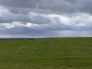 Green landscape on the outskirts of Madrid with cloudy skies