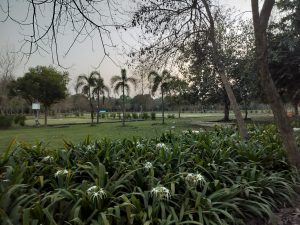 View larger photo: Evening view of a park