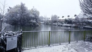 A snowy scene at a park in Dublin with a pond, trees covered in snow, a swan swimming and typical row-houses in the background, viewed through a metal fence with a Dublin City Council Parks sign in the foreground. Snow is falling.
