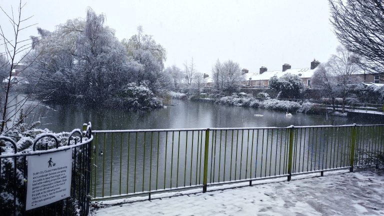 A snowy scene at a park in Dublin with a pond, trees covered in snow, a swan swimming and typical row-houses in the background, viewed through a metal fence with a Dublin City Council Parks sign in the foreground. Snow is falling.