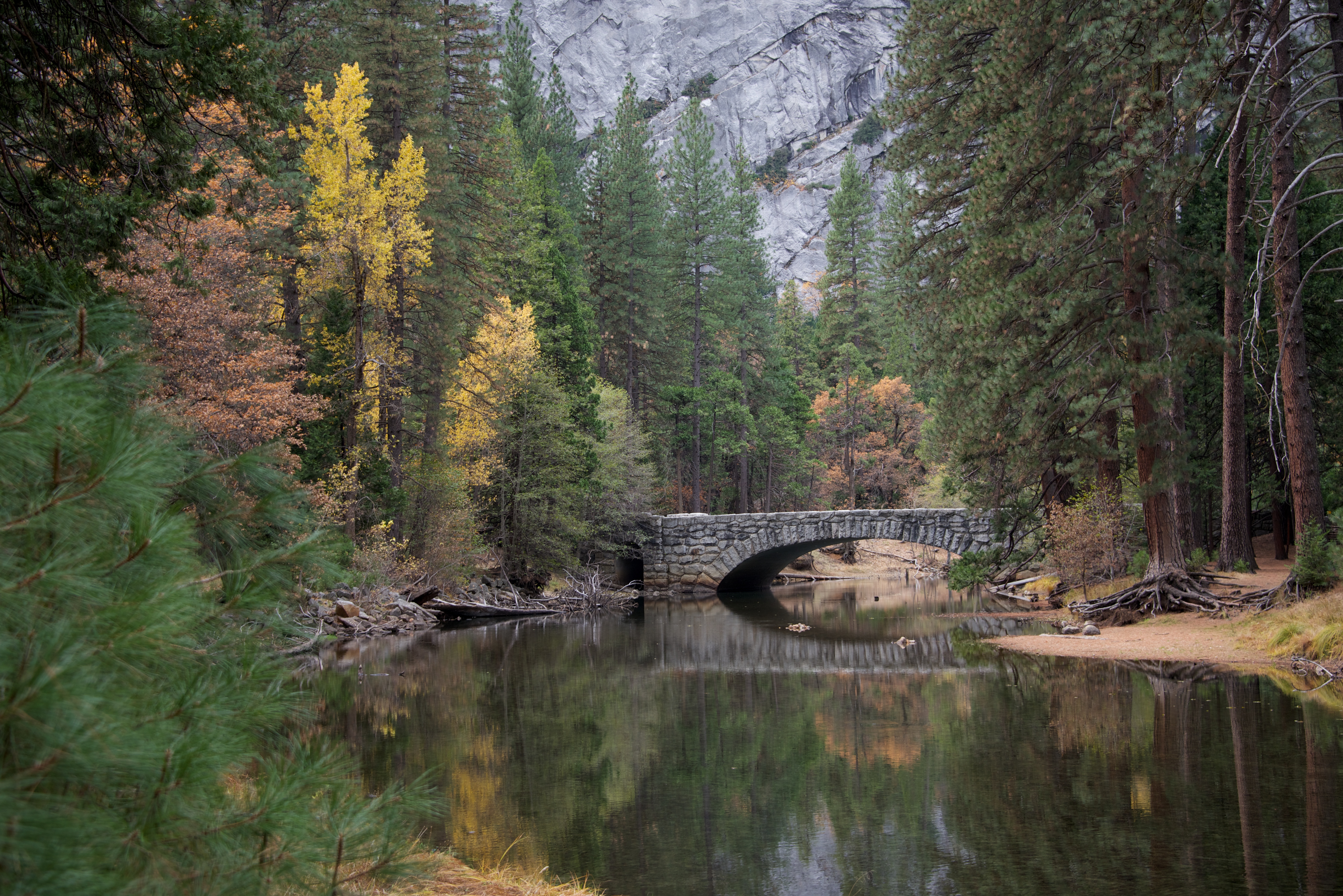 Bridge, Yosemite National Park