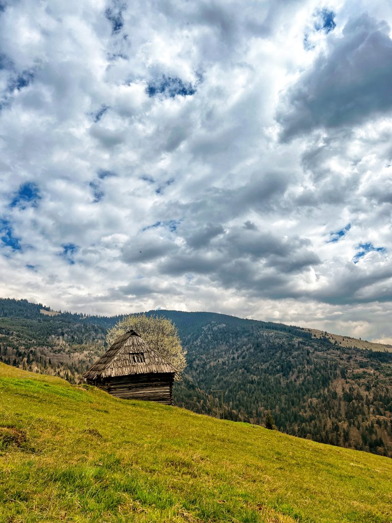 Traditional hut on a lush green hillside with a backdrop of dense forest under a dramatic cloudy sky. Transylvanian Mountains