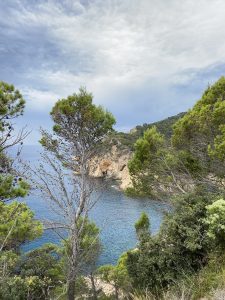  A scenic view of a mediterranean coastal landscape with a clear blue sea, a rocky cliff, and various trees in the foreground under a cloudy sky.
