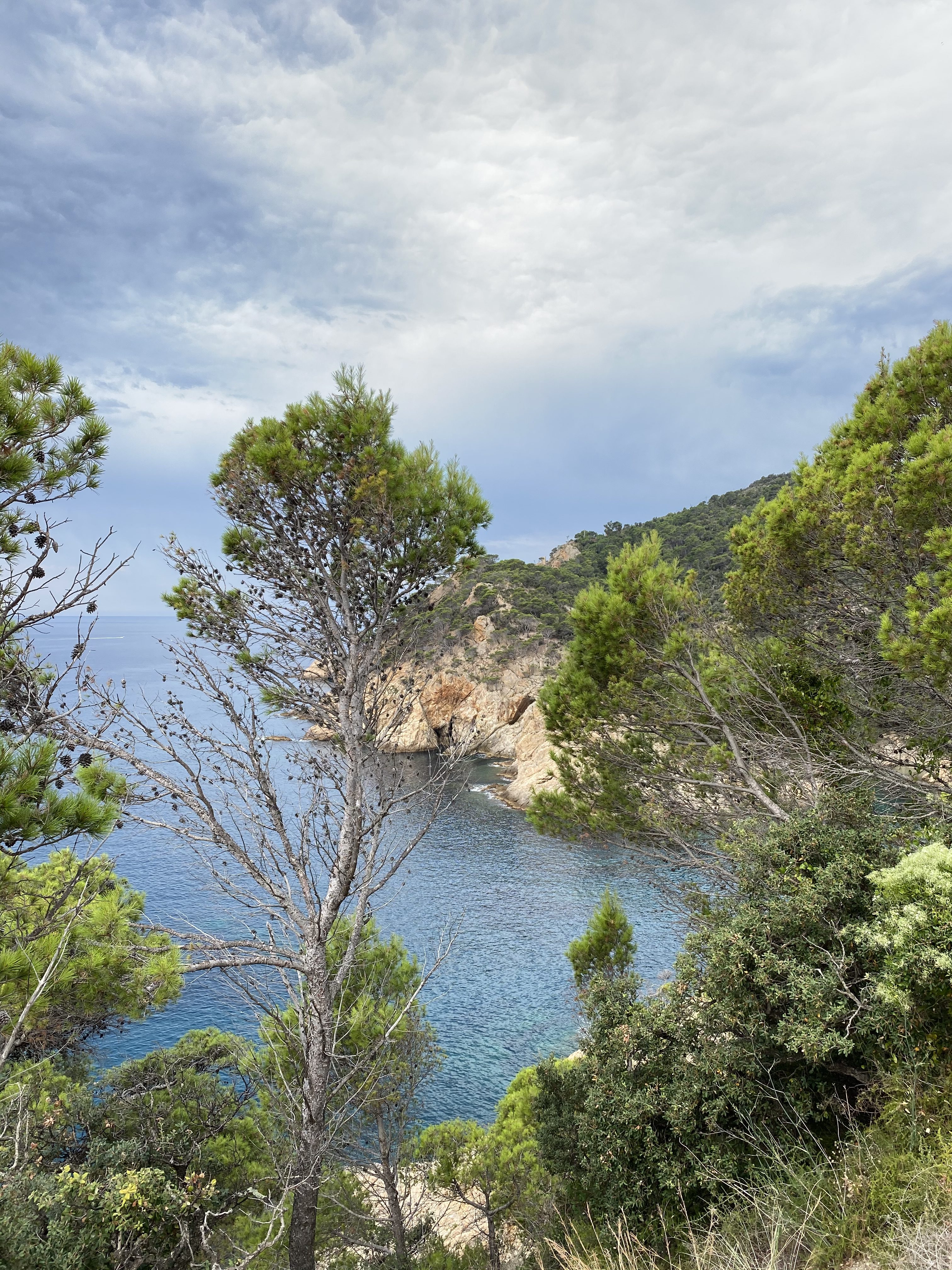 A scenic view of a mediterranean coastal landscape with a clear blue sea, a rocky cliff, and various trees in the foreground under a cloudy sky.