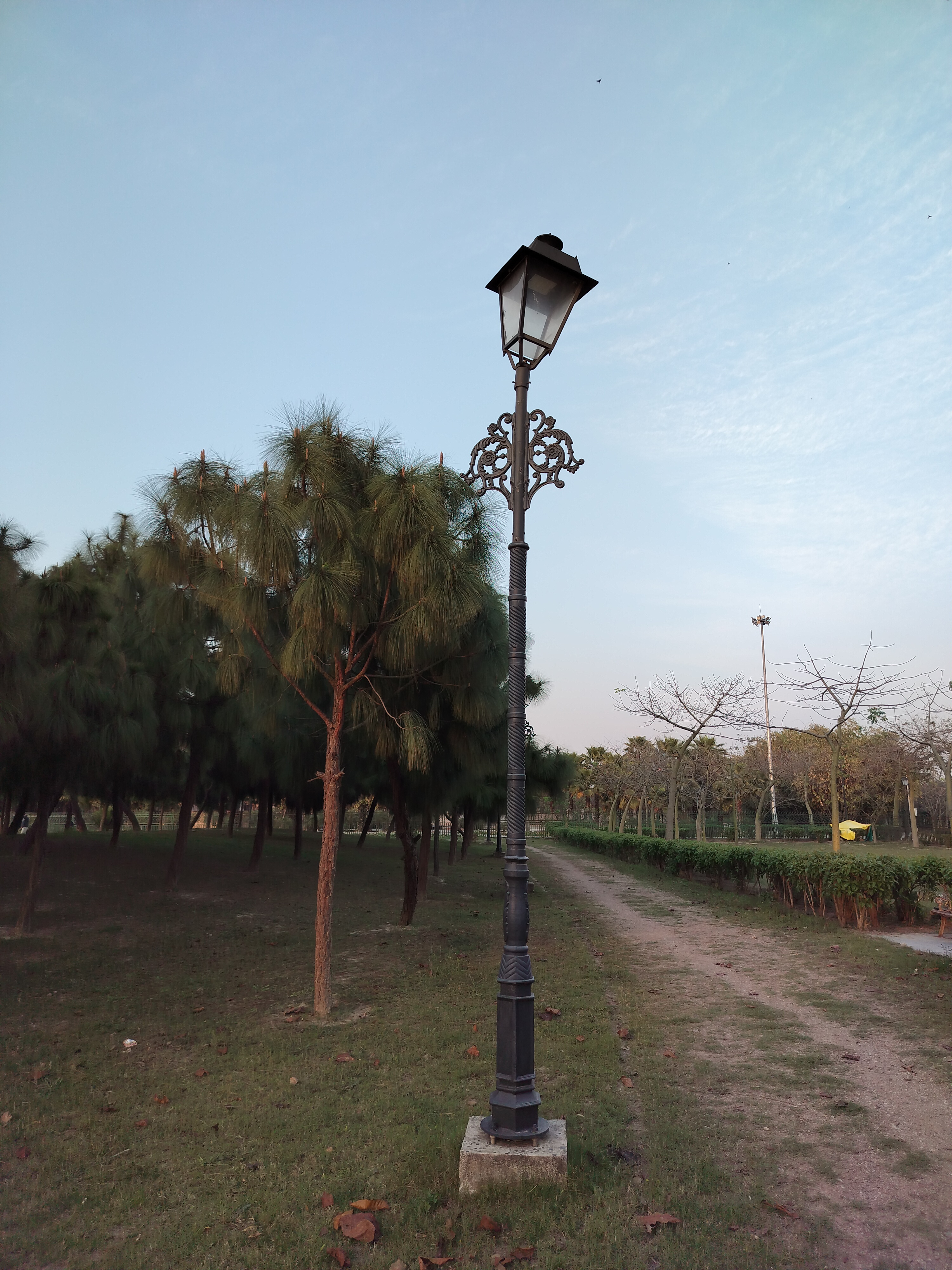 A dirt path beside trees and lights