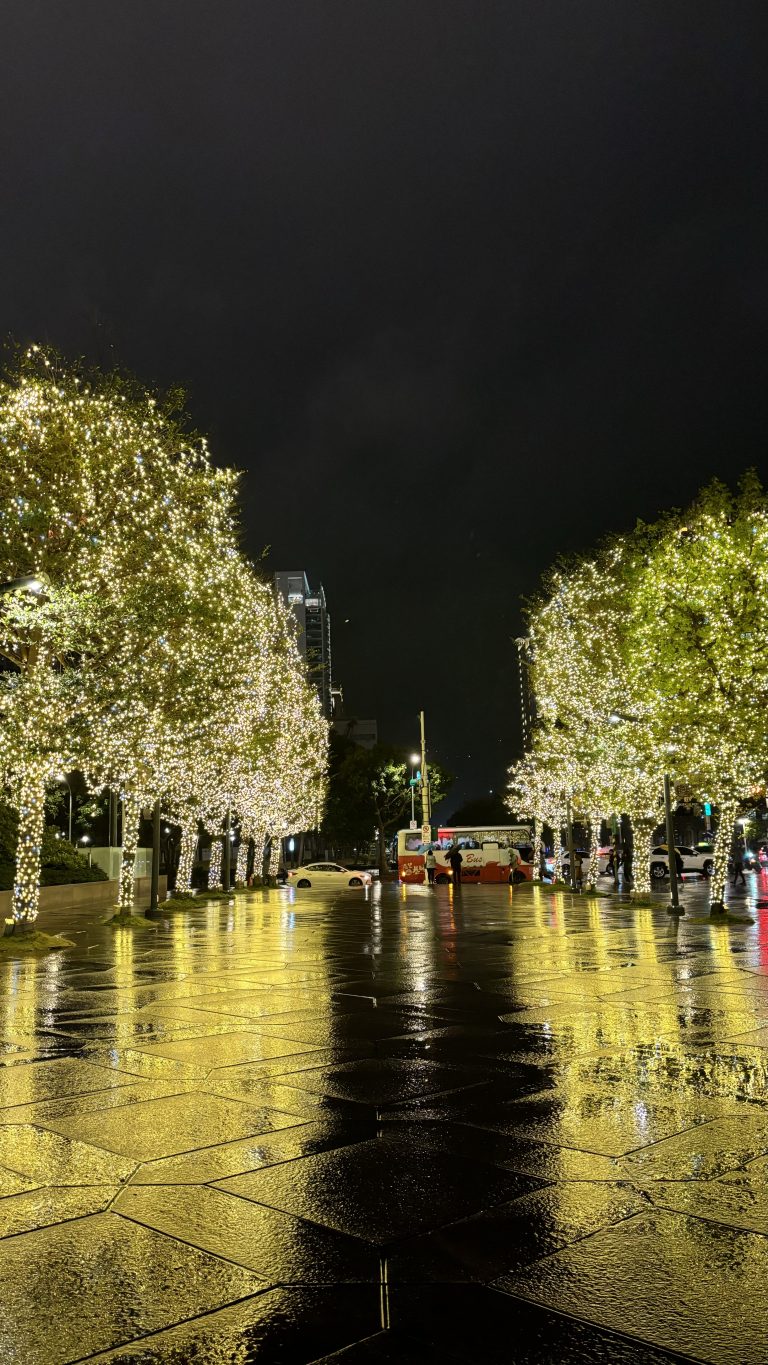 Night before WordCamp Asia 2024 outside Taipei 101, with lighted trees and a bus