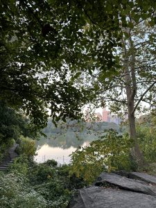 central park New York Lake