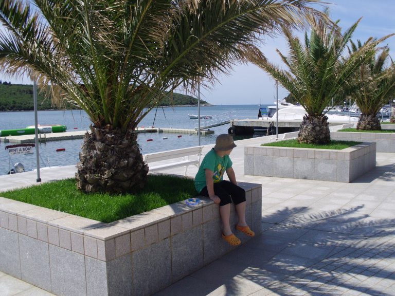 The kid is sitting on the concrete bench under the palm tree by the seaside.