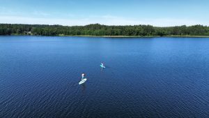 Paddleboarding in Lithuania's lake. Forest, clear sky, sunny