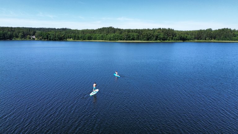 Paddleboarding in Lithuania’s lake. Forest, clear sky, sunny