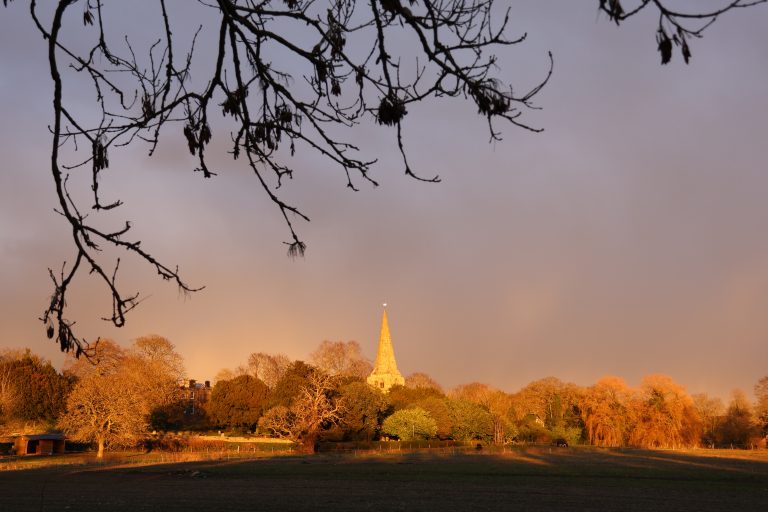 A church steeple at sunset. There is a tree in the foreground which is out of focus.