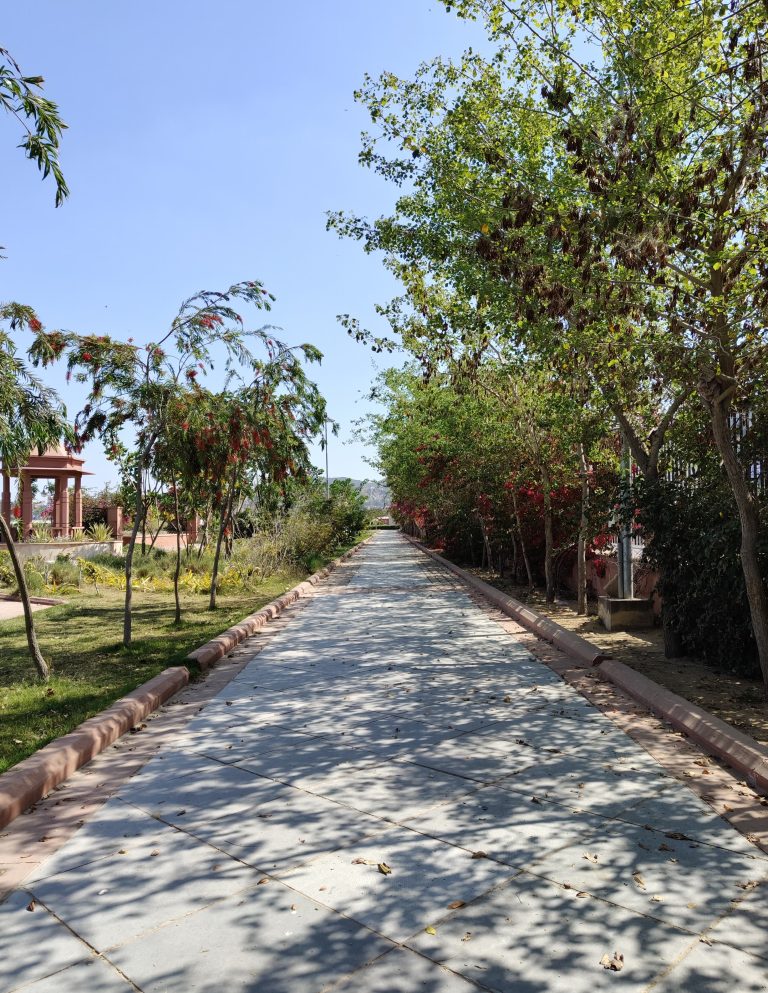 A pathway lined with flowers and trees