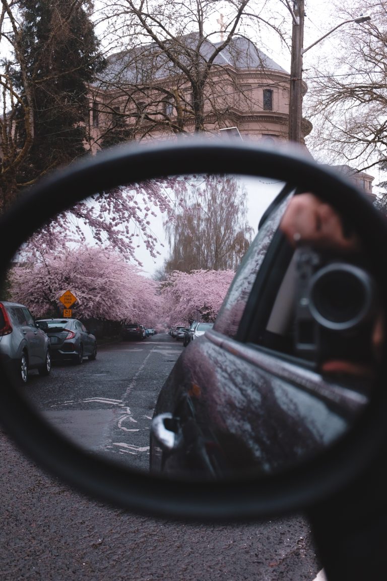 Looking back through a side mirror of a car reveals a row of cherry blossom trees in bloom on a neighborhood street lined with cars. The camera taking the photo is barely in view in the side mirror.