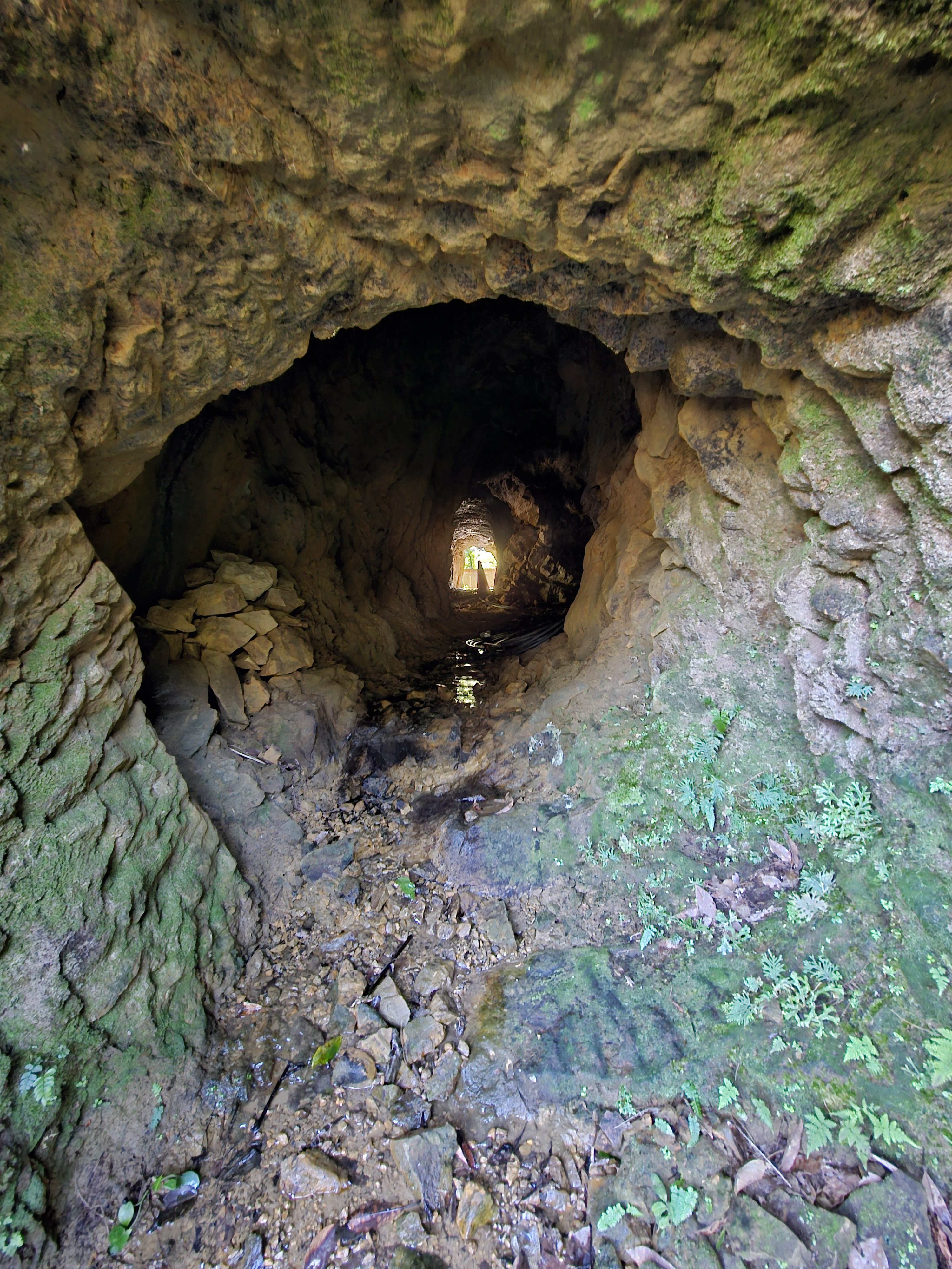 An eerie underground passage vanishing into the depths of a cave.