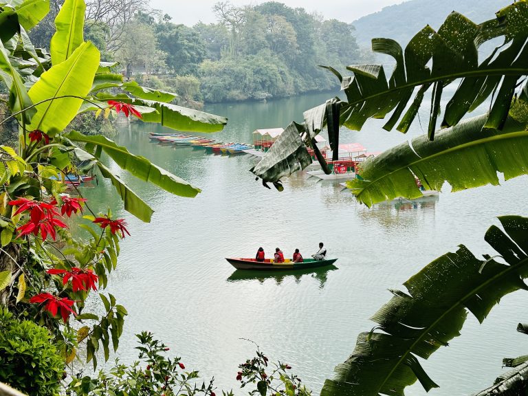 People are enjoying boating in Pokhara, with large banana leaves in the foreground and multiple colorful boats docked at the shore surrounded by lush greenery.