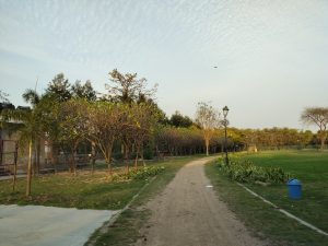 A scenic park with a dirt pathway, various trees, a blue bin on the side, street lamp posts, and a cloudy sky during daylight.