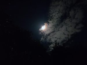 A night sky in Bangladesh showing the moon partially obscured by clouds, with silhouettes of tree tops at the bottom.