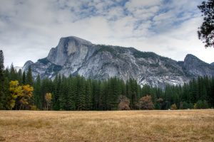 Half Dome and trees, Yosemite National Park
