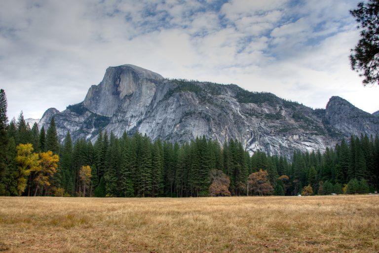 Half Dome and trees, Yosemite National Park