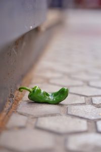 A single green pepper lying on a cobblestone surface next to a metal edge with a blurred background.