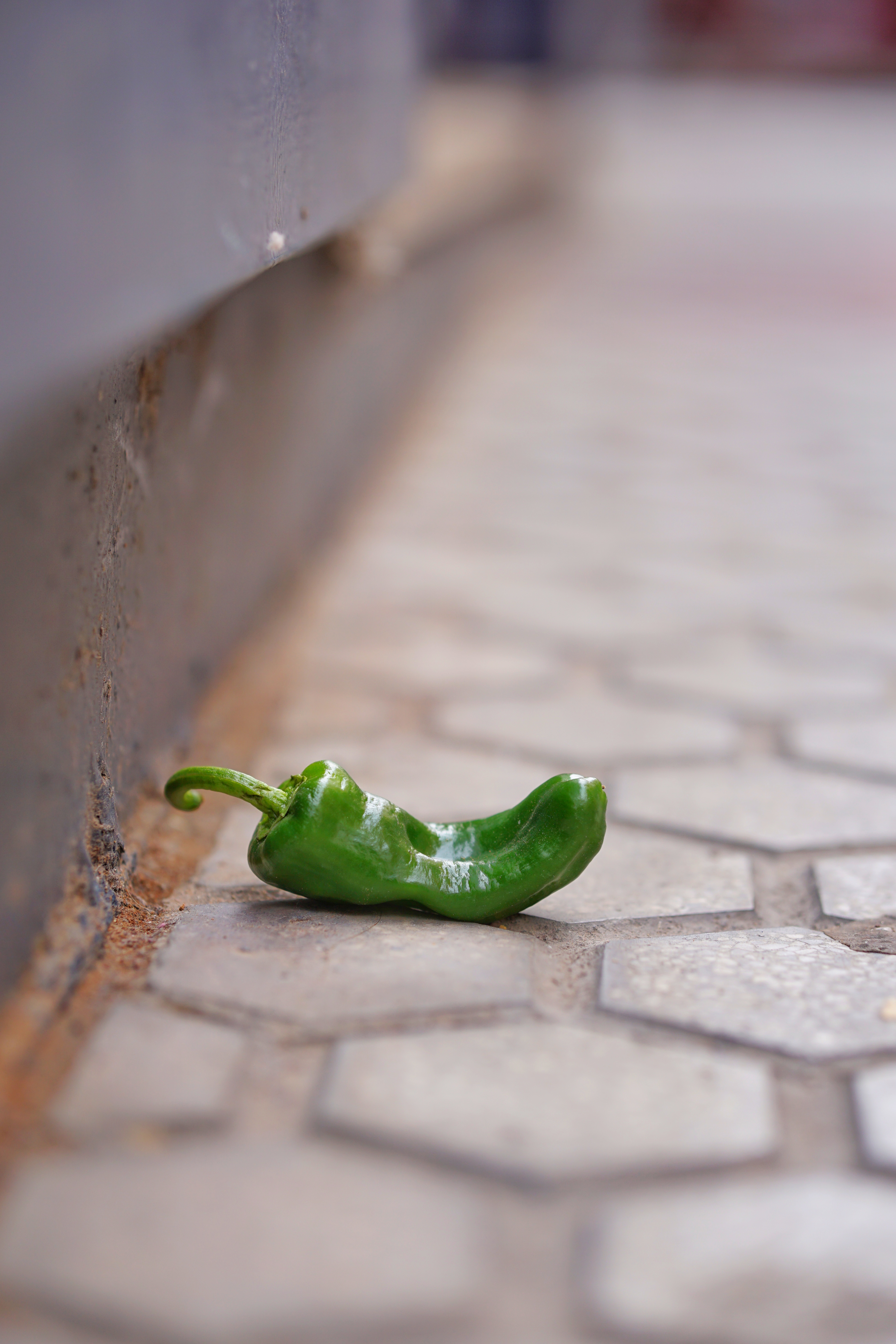 A single green pepper lying on a cobblestone surface next to a metal edge with a blurred background.