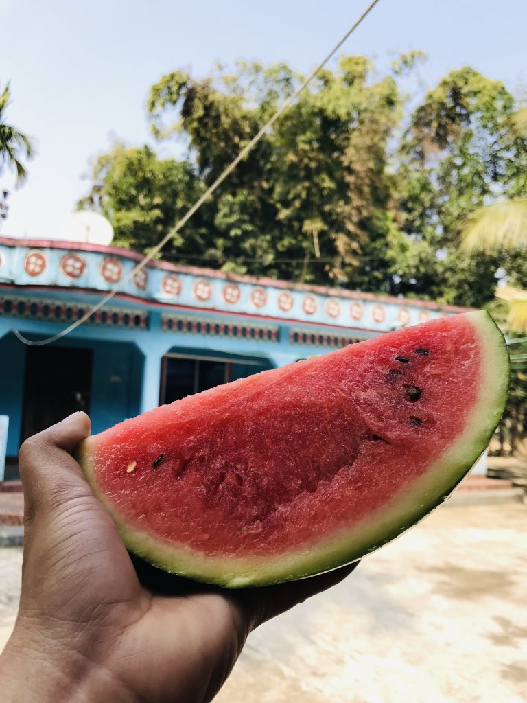 A person’s hand holding a slice of ripe watermelon with a blurred background featuring trees and a house with a blue facade and decorative borders.