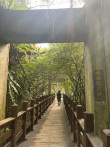 View larger photo: People walking on a Wooden Bridge in Taipei Zoo