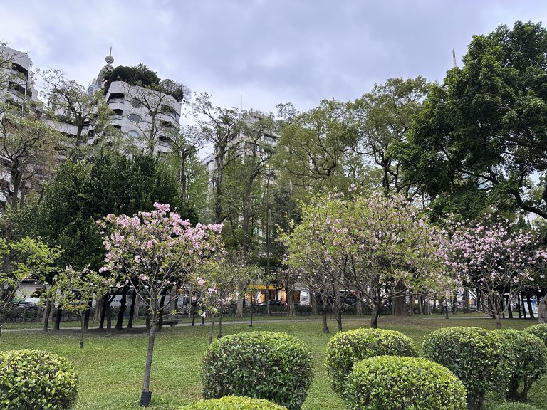 A park with cherry blossoms in bloom, neatly trimmed bushes in the foreground, and modern buildings with foliage-covered balconies in the background.