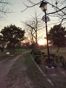 Evening view of a path in a park
