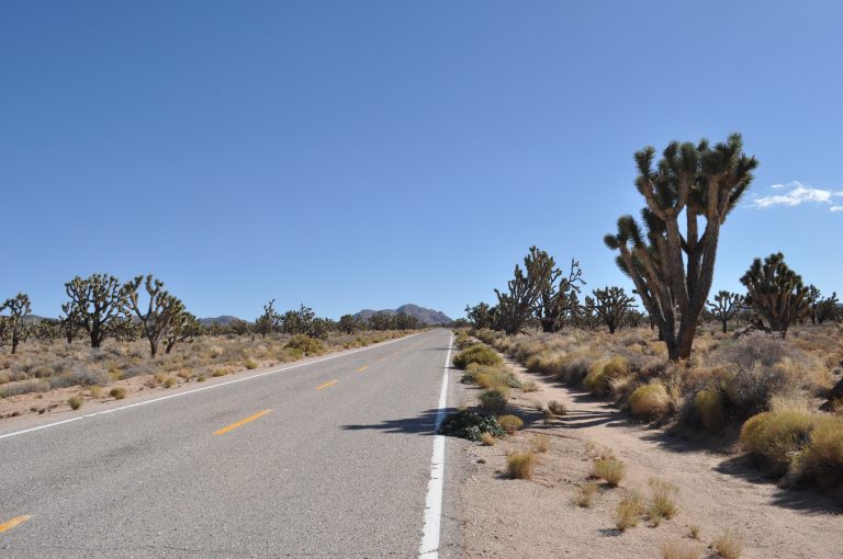 Empty road in the Mojave Desert