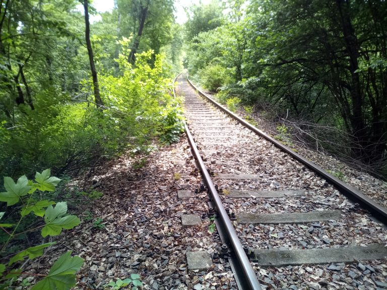 An abandoned railway track in a green deciduous forest in spring.