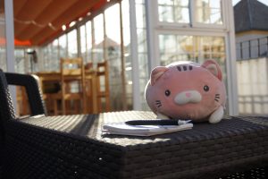 Thick cat plushie under the sun in a balcony taking notes on a notebook with a pen