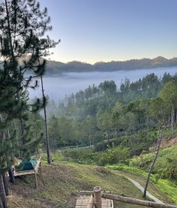 Foggy mountain while camping taken from pine ridge, Malaybalay, Bukidnon
