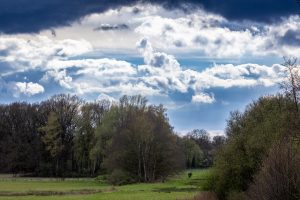 Landscape photo of meadows, some flooded, trees, forest and a cloudy blue sky, Nature Reserve The Deeps (De Diepen), Milsbeek, The Netherlands