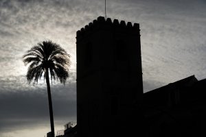Silhouette of a church and a palm tree outlined against a cloudy sky
