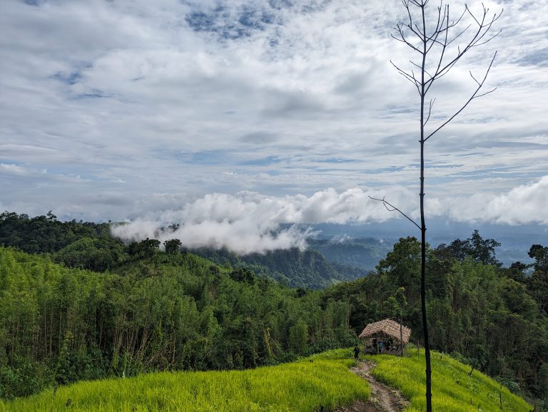 A tiny shelter on mountain surrounded by greeneries and a flock of clouds