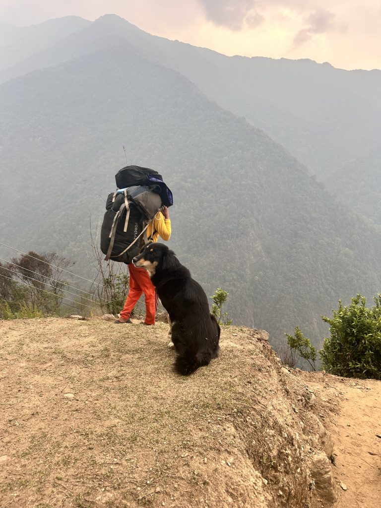 Dog sitting on the hill while hiker crosses its path.