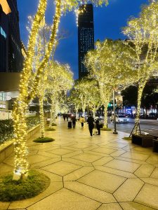 View larger photo: Colorful lights used for decorating the trees in a street of Taiwan.