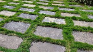 A patterned garden path with square concrete pavers separated by strips of lush green grass, creating a checkerboard effect on the ground.
