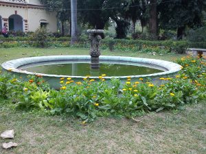 Historical fountain having Pillars of Ashoka & surrounded by Jalbera flowers in commerce society in Varanasi