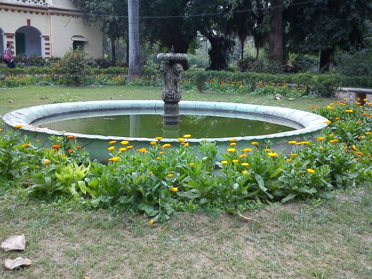 Historical fountain having Pillars of Ashoka & surrounded by Jalbera flowers in commerce society in Varanasi