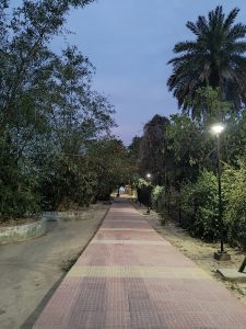 A well-lit pathway lined with trees and bushes, under a twilight sky.