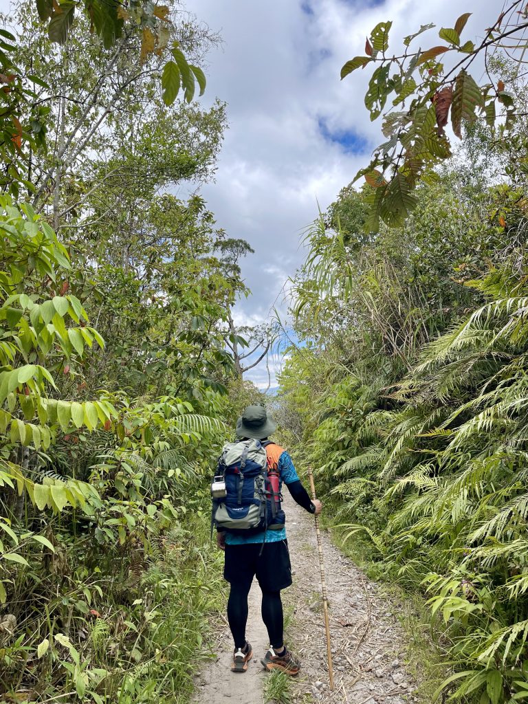 A lone hiker, journeying into the unknown, captured from behind.