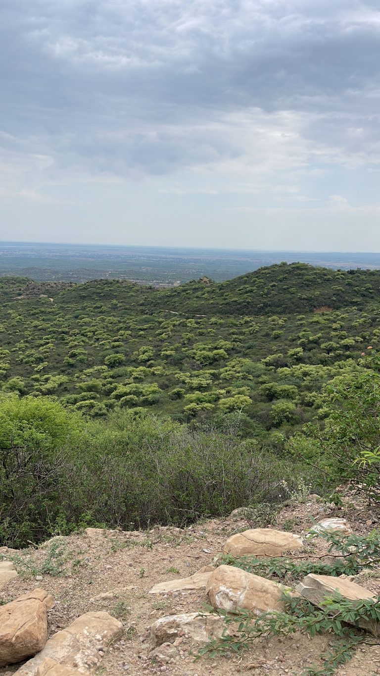 Green valley in north of Pakistan. Scenery contain green mountains with bright sunny sky in spring.