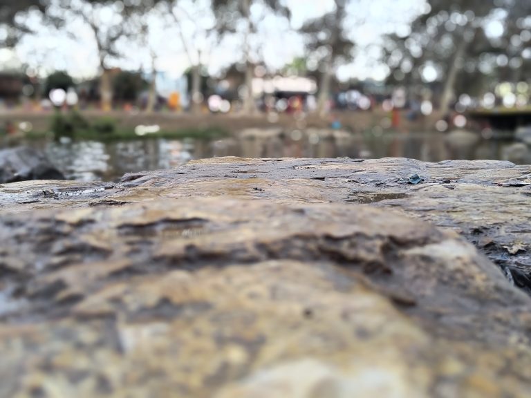 A close-up view of a textured surface (Arogya Dham, Chitrakoot), possibly a stone or rock, with a blurred background featuring trees and people.